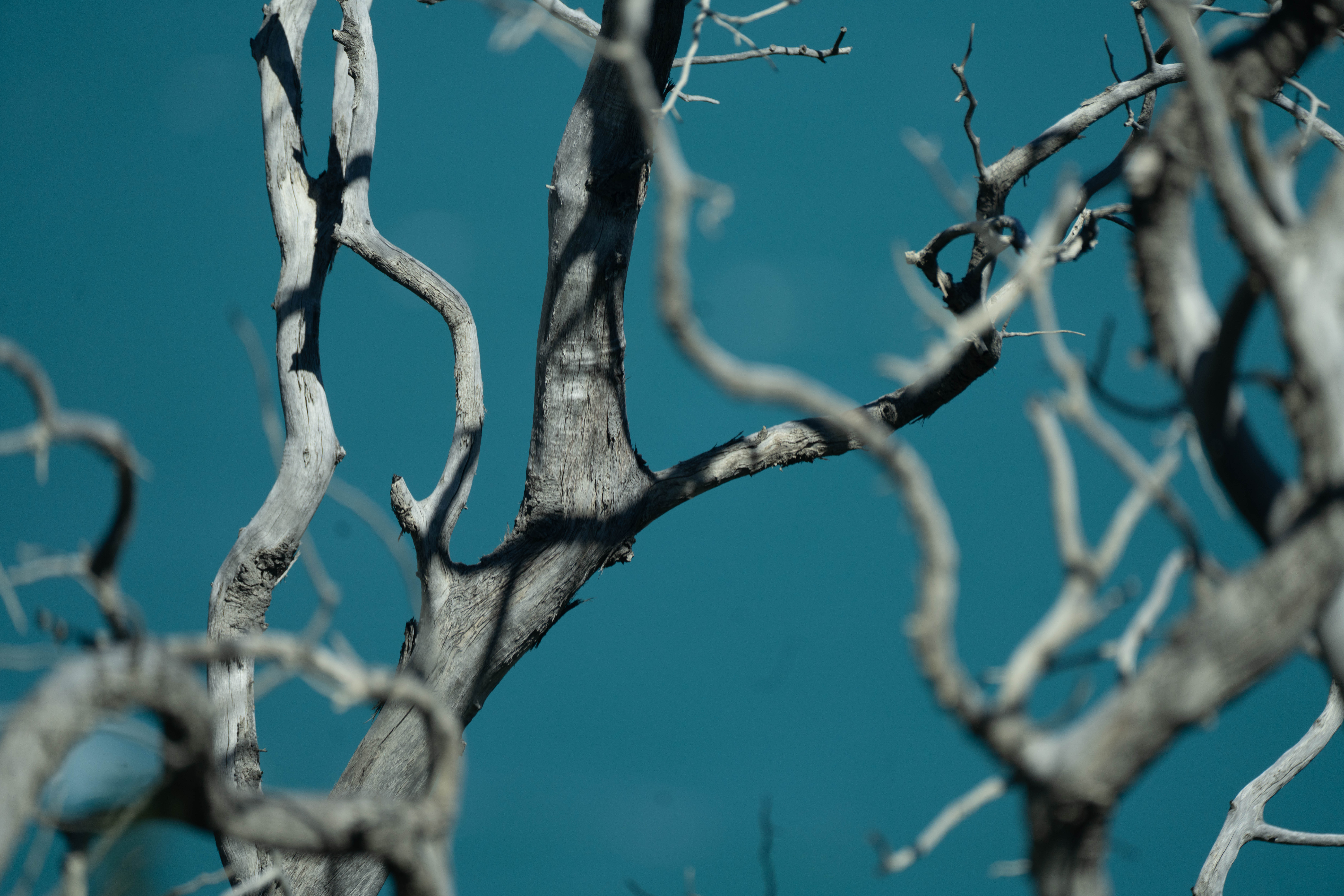 Tangles